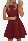 Stylelye Women's Boat Neck A-Line Mini Dress